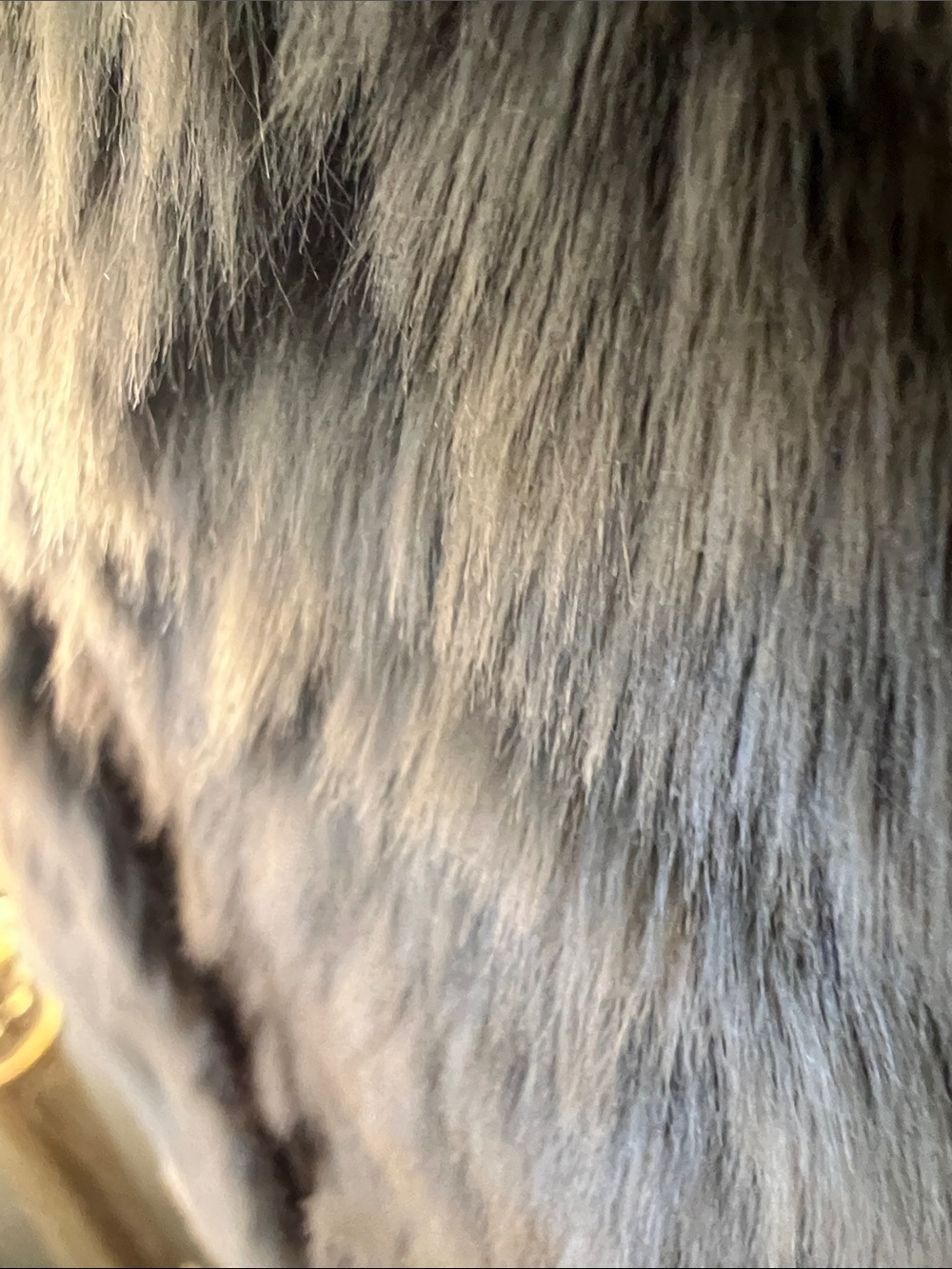 Faux Fur Vest in Gray - Women's Cozy Collar Vest